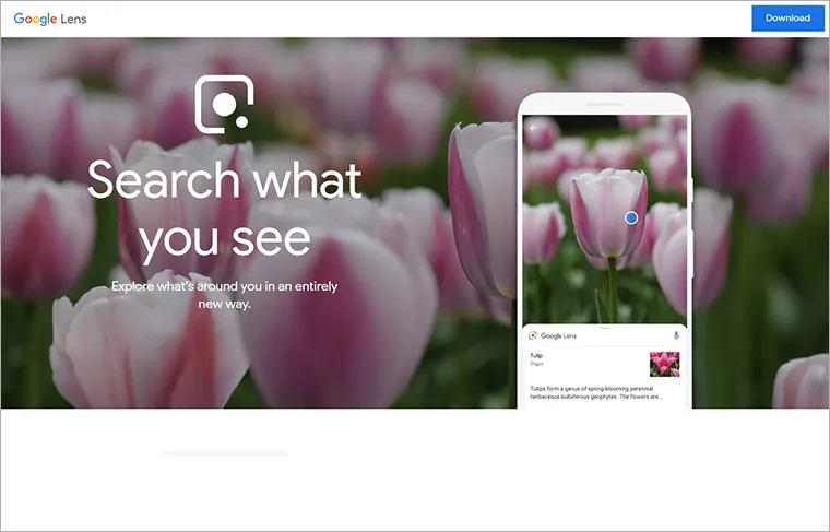 Google Lensが日本でも利用可能になりました
